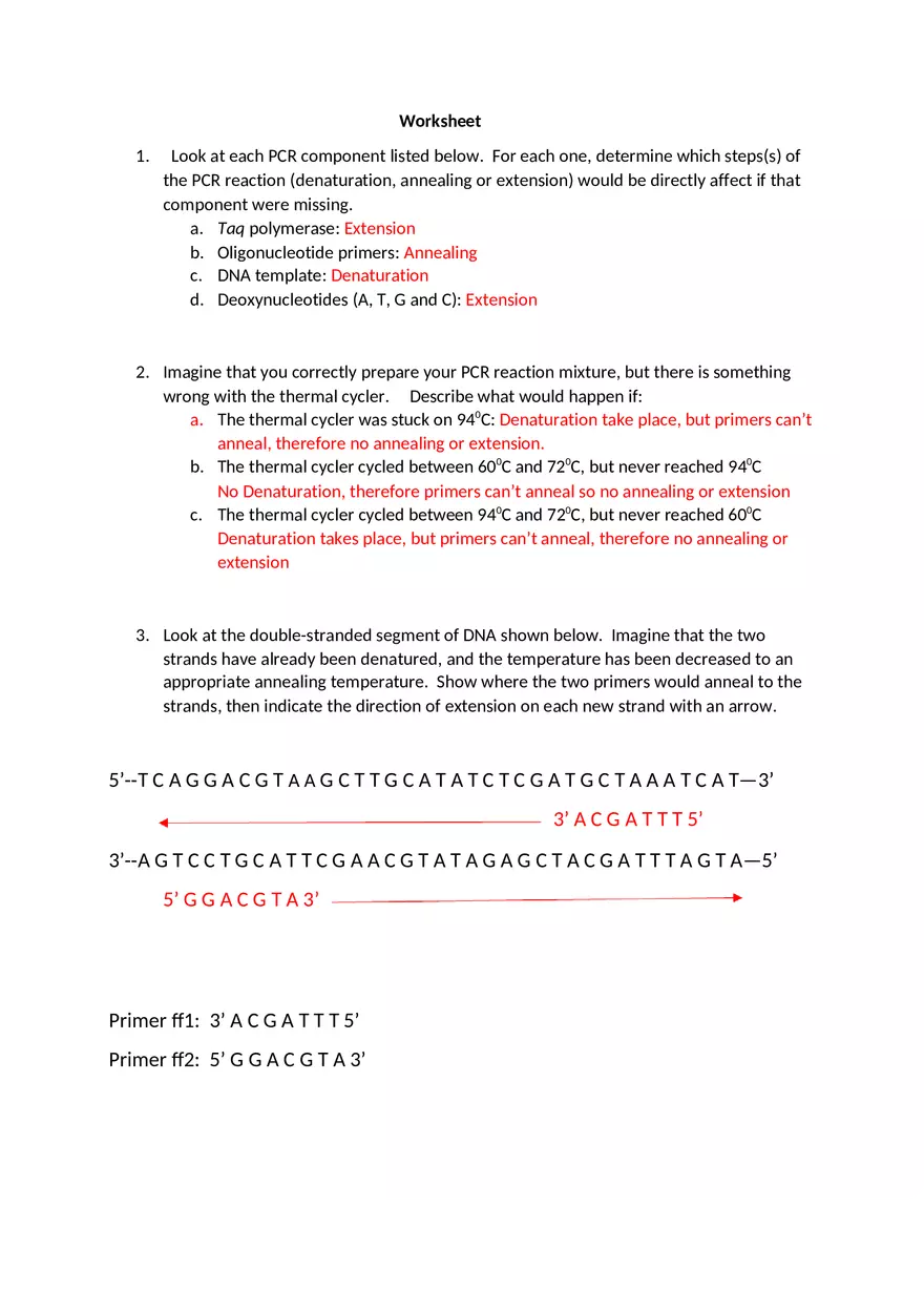 PCR Worksheet Answer Key - Page 1
