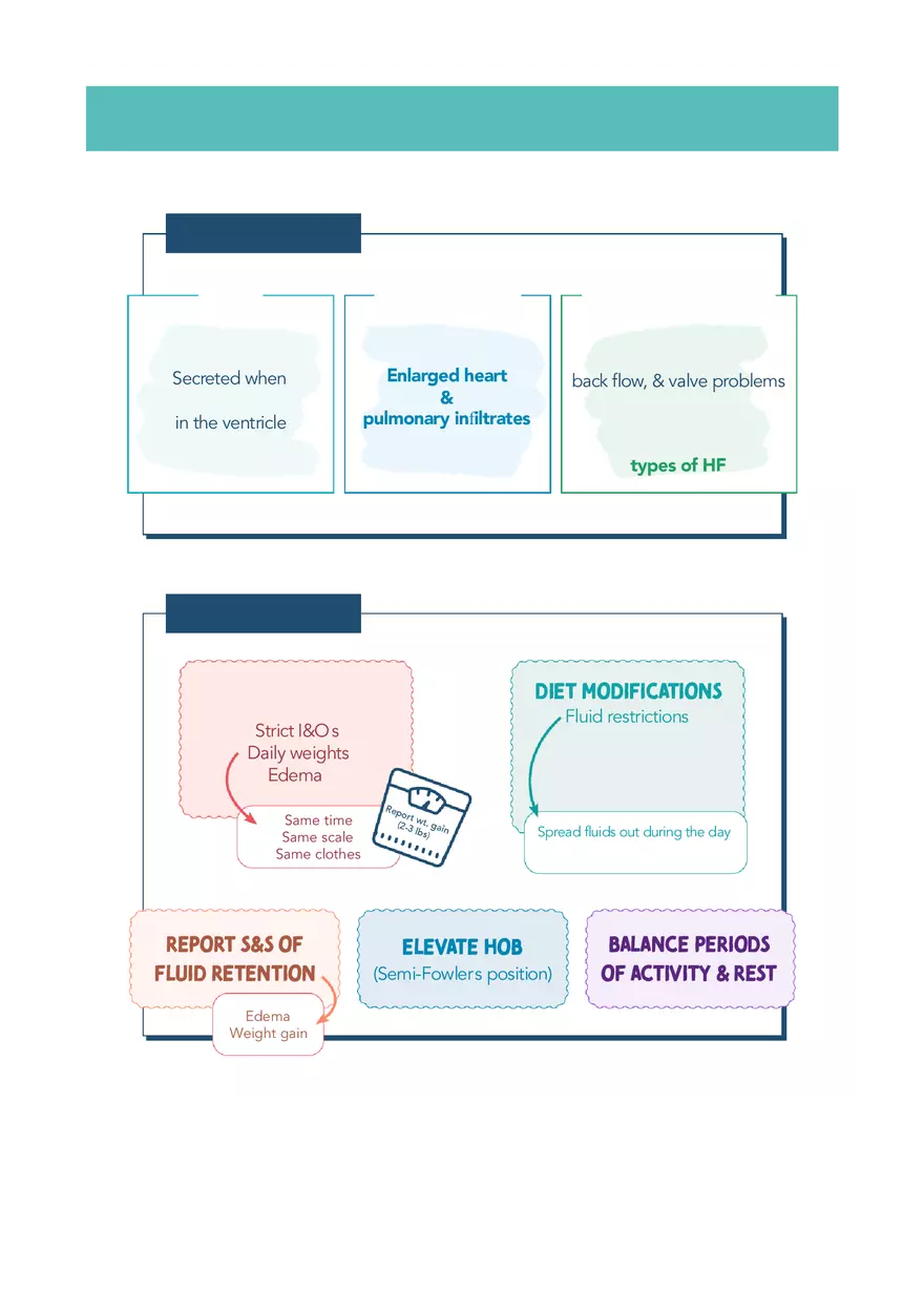Cardiac System Med Surg Notes 2 - Page 4