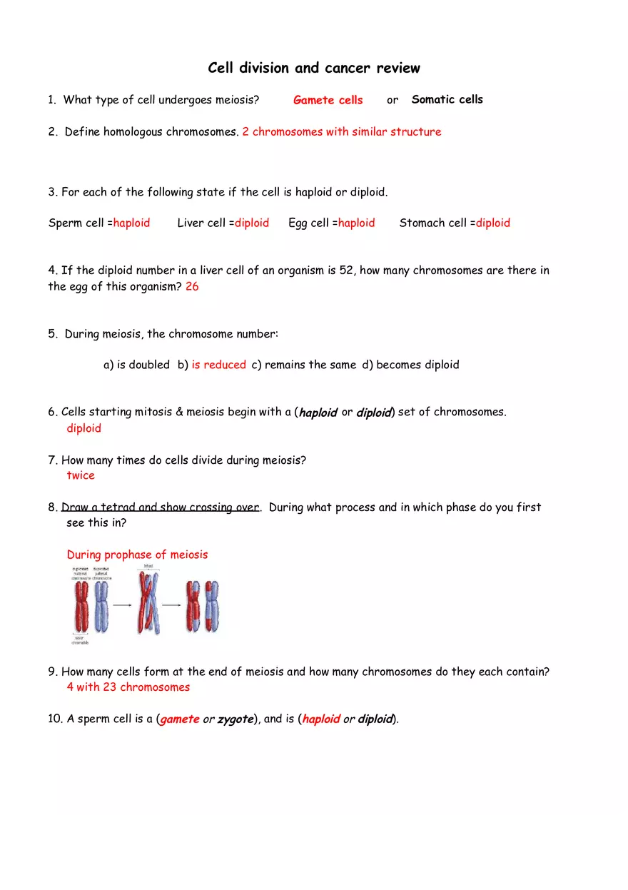 Cell Division and Cancer Review Sheet Answers - Page 1