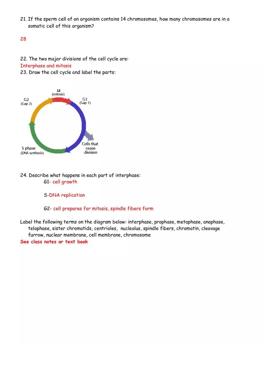 Cell Division and Cancer Review Sheet Answers - Page 3