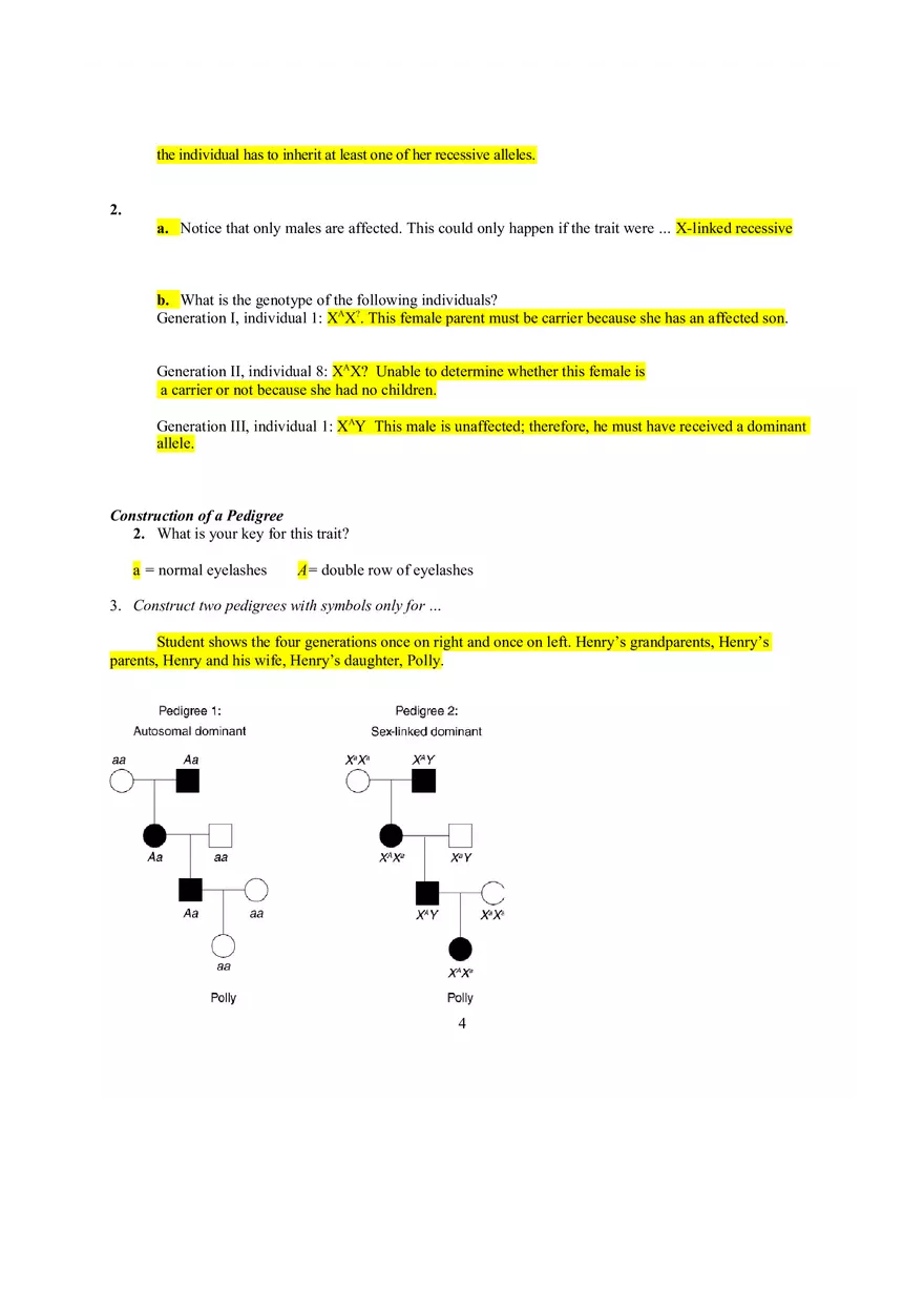Lab On X-Linked Genetics - Page 4