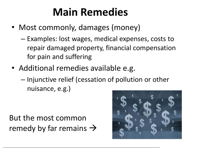 What is a Tort (Lecture) Part 1 - Page 7