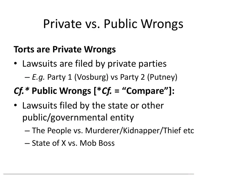 What is a Tort (Lecture) Part 1 - Page 8