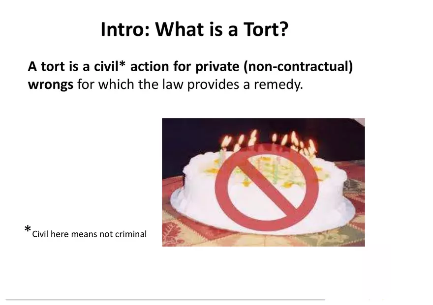 What is a Tort (Lecture) Part 1 - Page 1