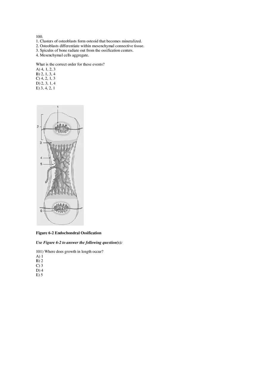 Chapter 6 Bones and Bone Structure Part 2 - Page 5