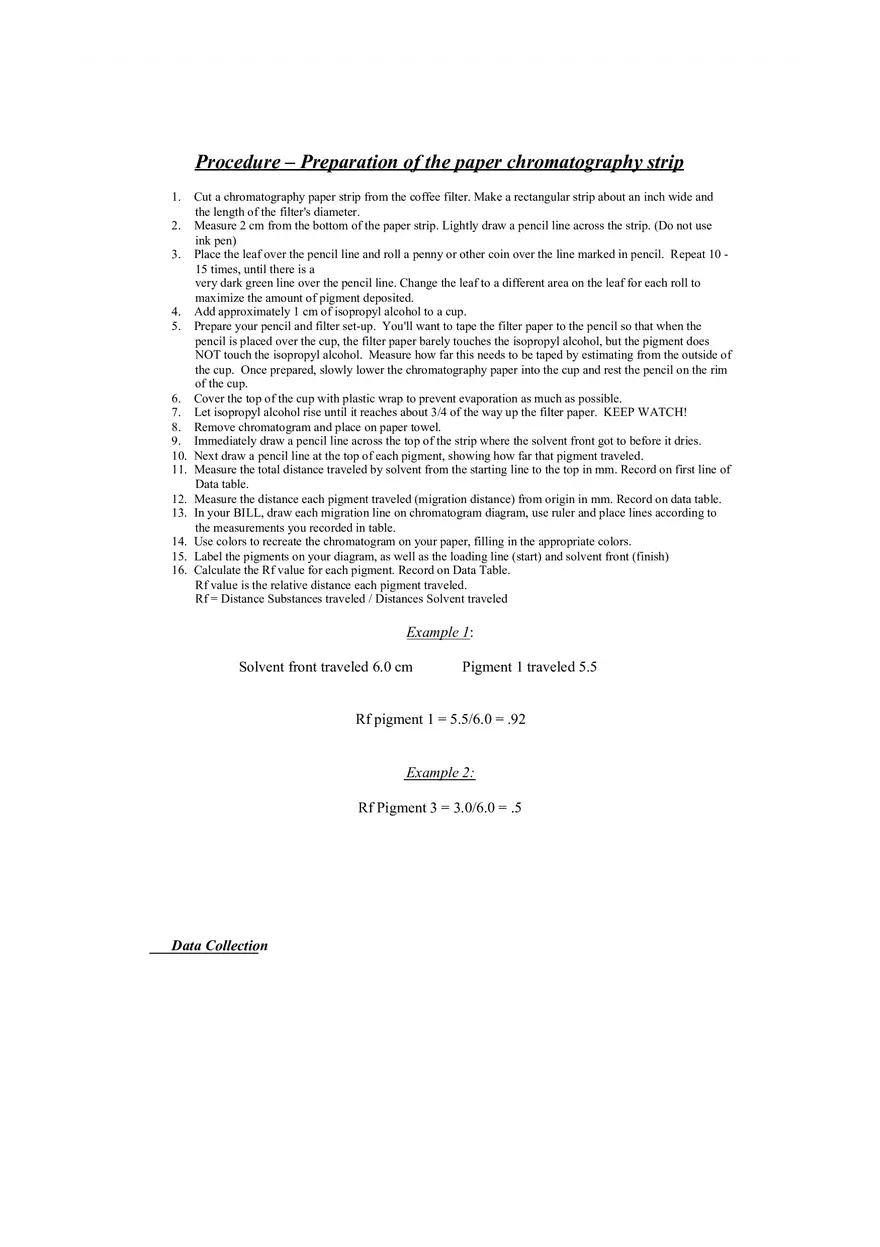 Chromatography Lab CER Module 3 - Page 2