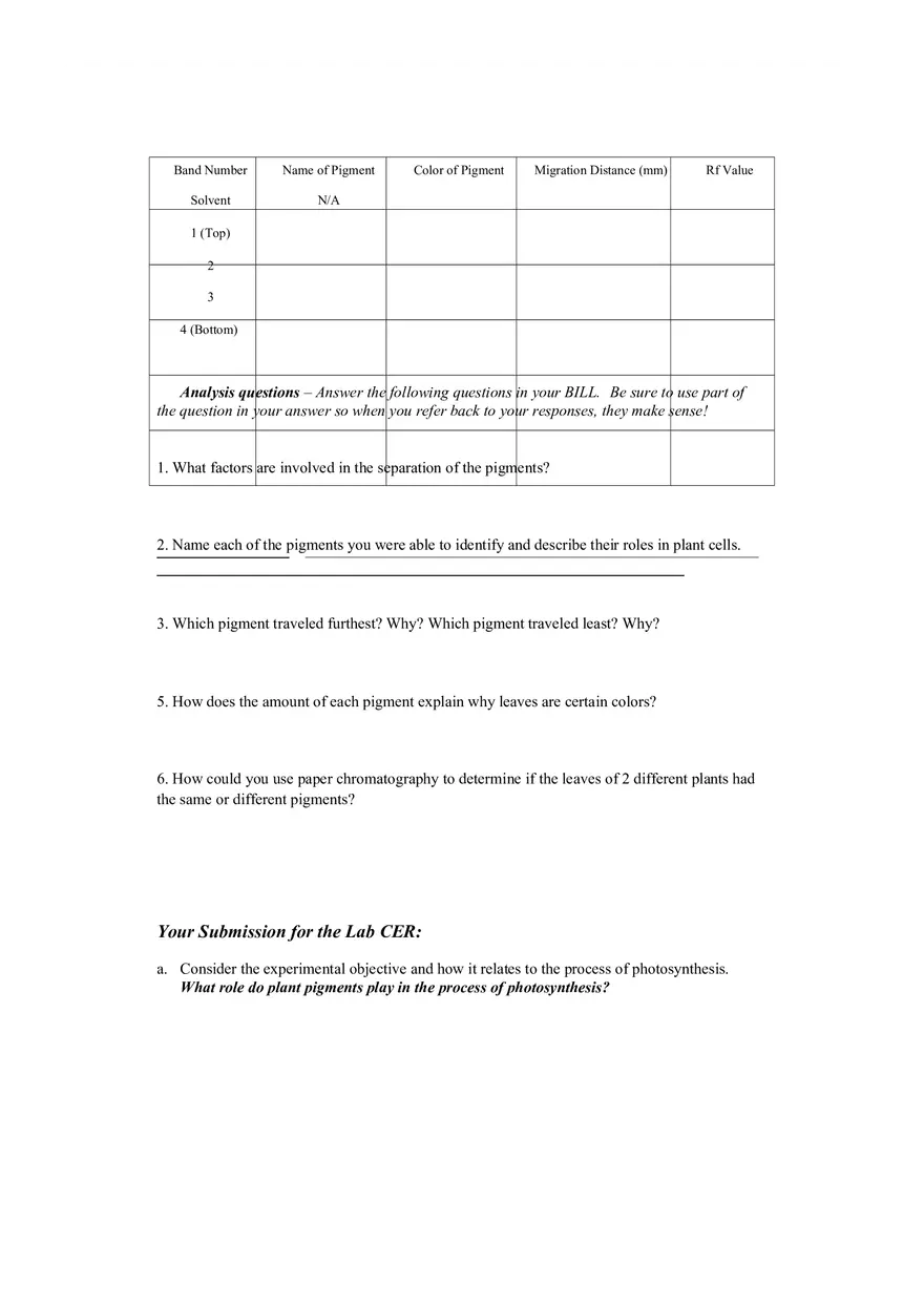 Chromatography Lab CER Module 3 - Page 3