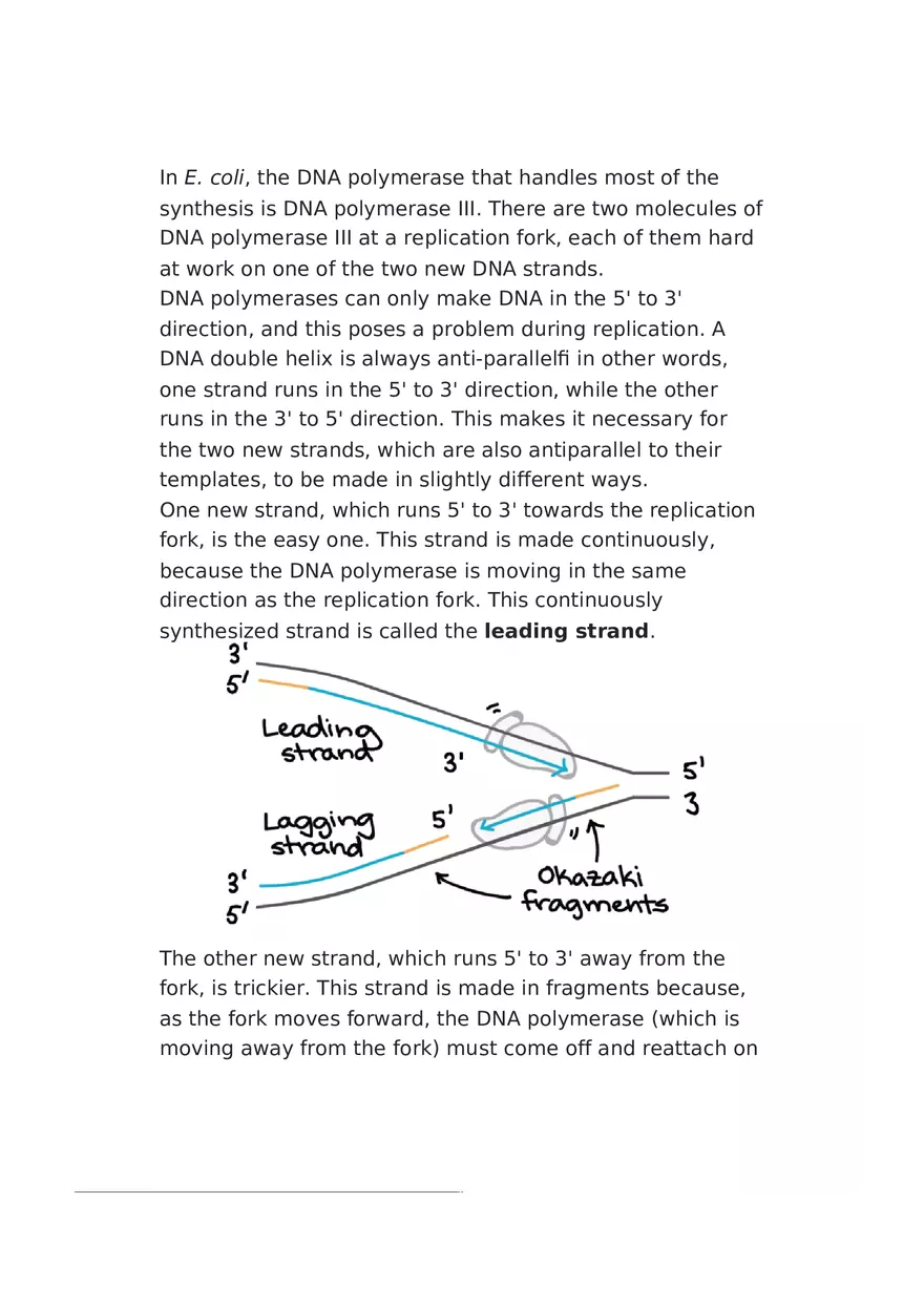 DNA Replication Notes - Page 12