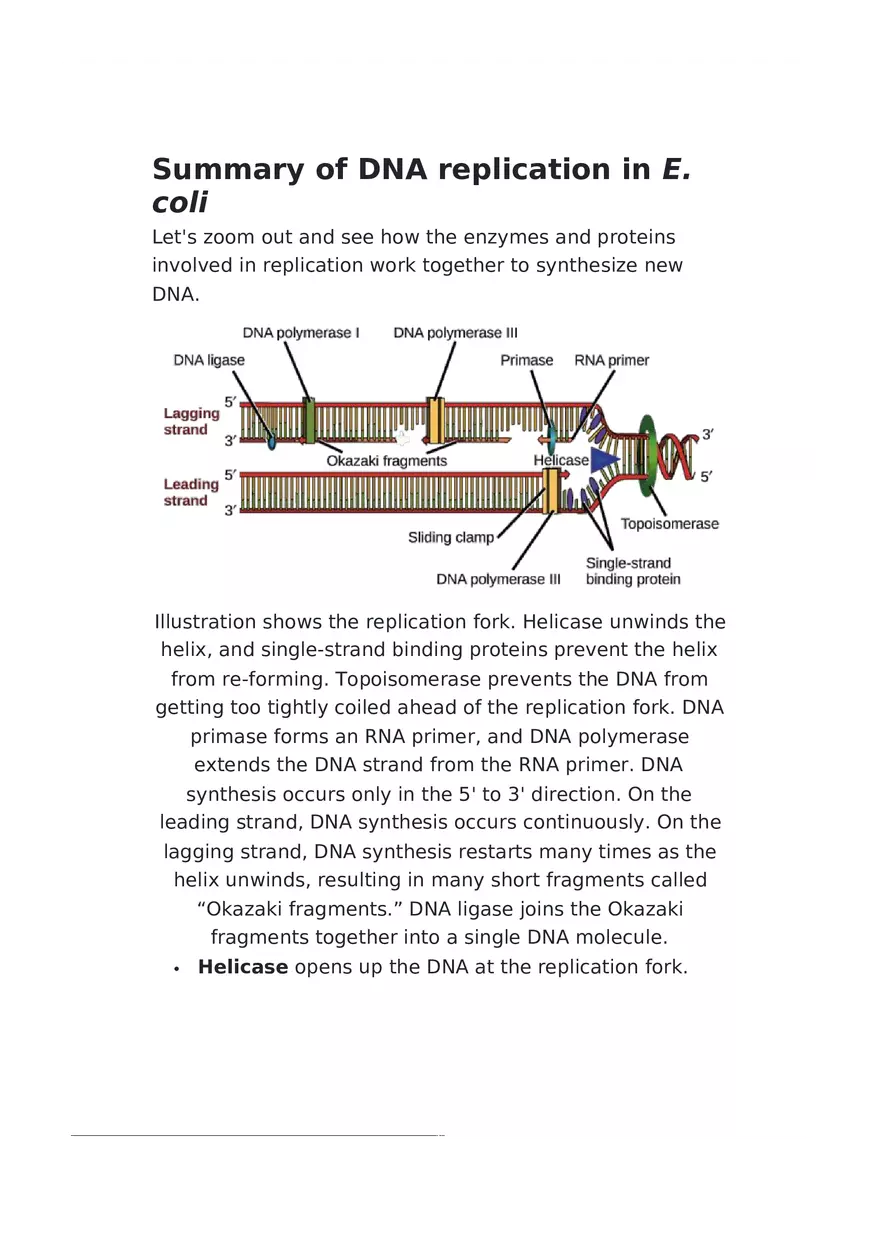 DNA Replication Notes - Page 3