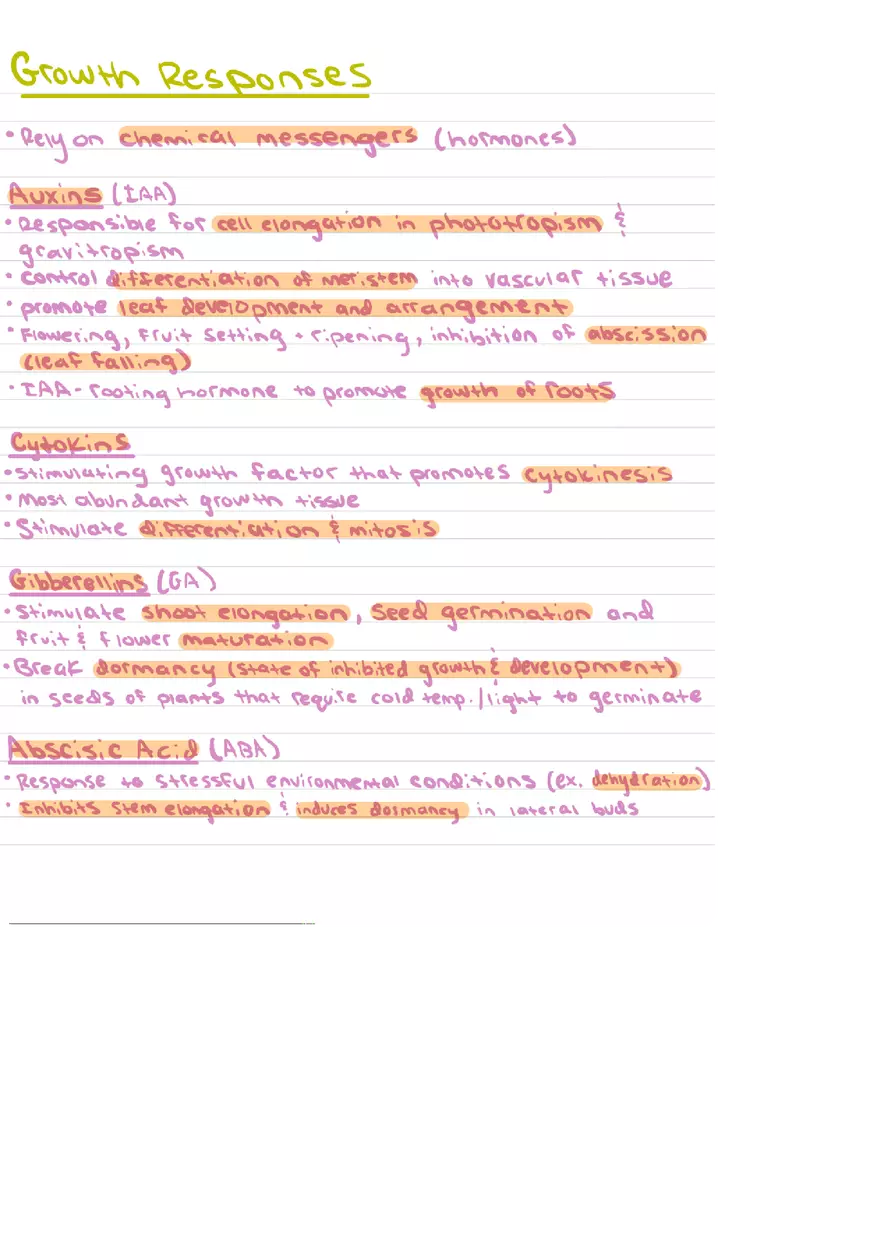 Food Chains Unit 2 Notes - Page 8