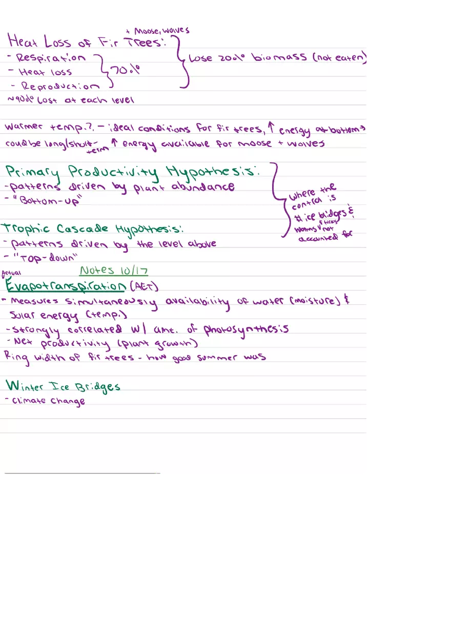Food Chains Unit 2 Notes - Page 13