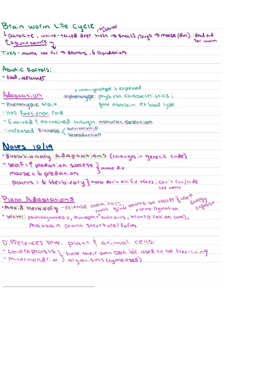 Food Chains Unit 2 Notes - Page 14