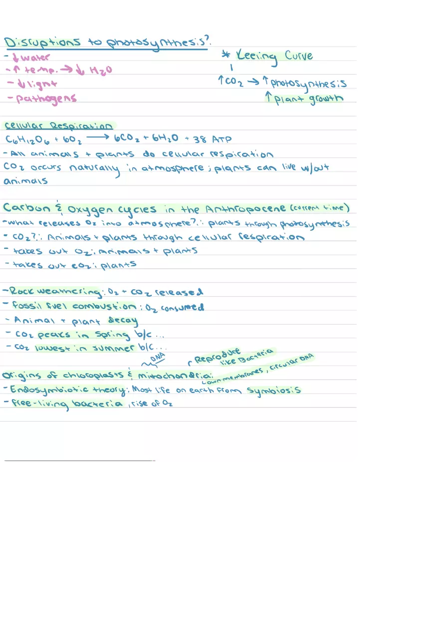 Food Chains Unit 2 Notes - Page 16