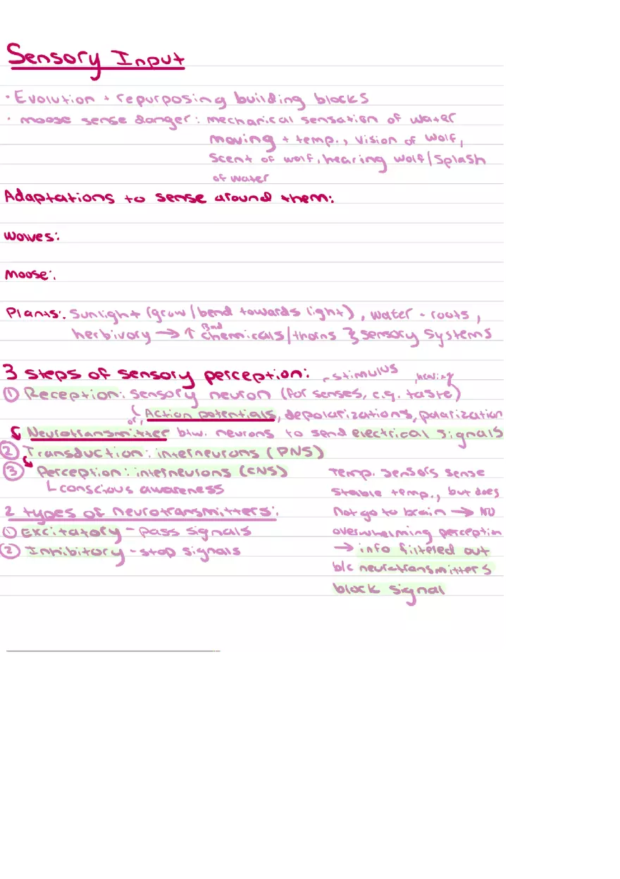 Food Chains Unit 2 Notes - Page 18