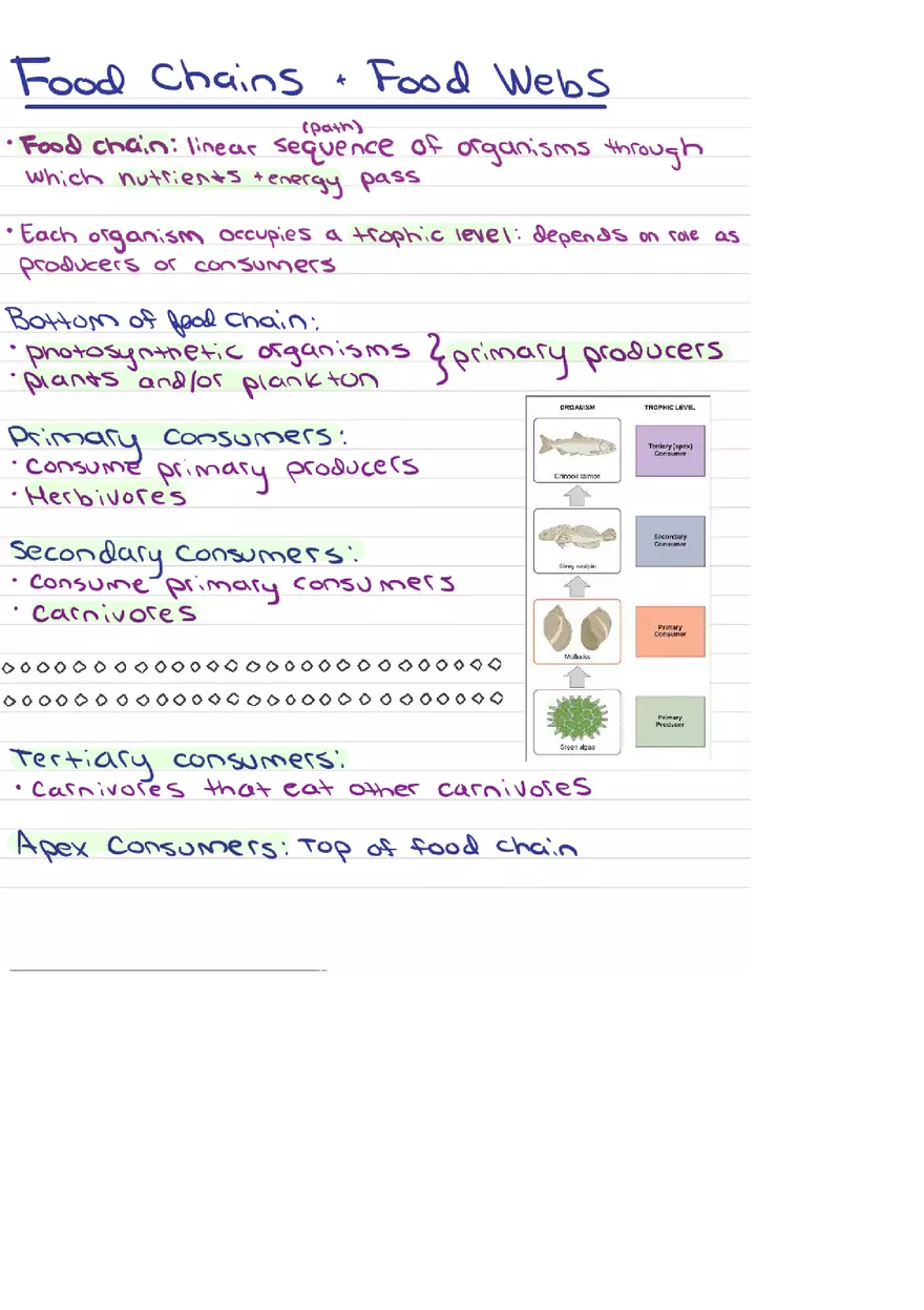 Food Chains Unit 2 Notes - Page 1