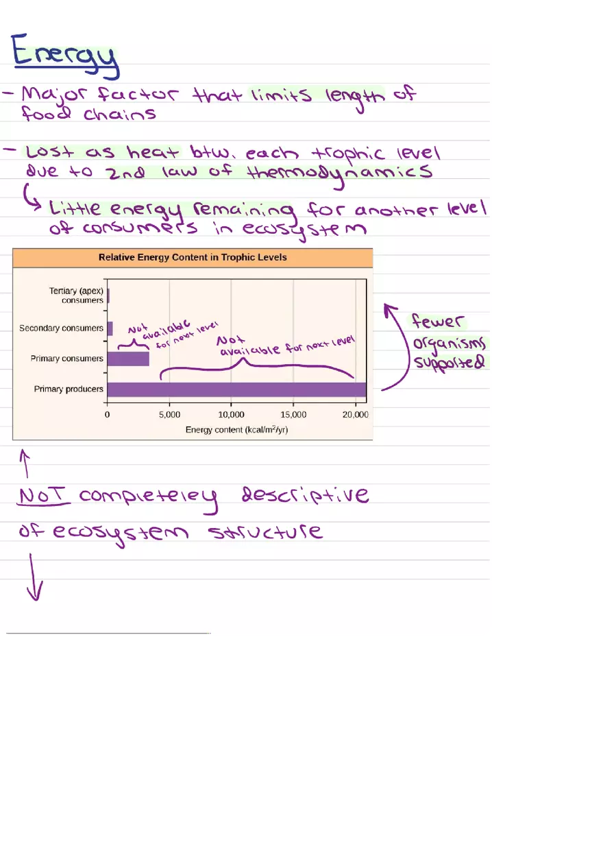 Food Chains Unit 2 Notes - Page 2