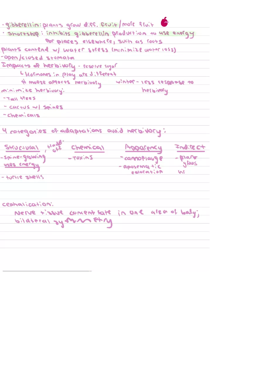 Food Chains Unit 2 Notes - Page 3
