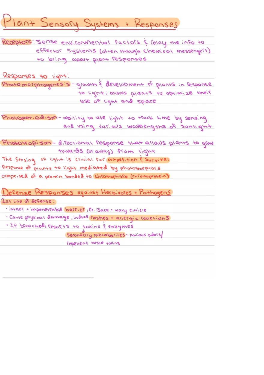 Food Chains Unit 2 Notes - Page 4