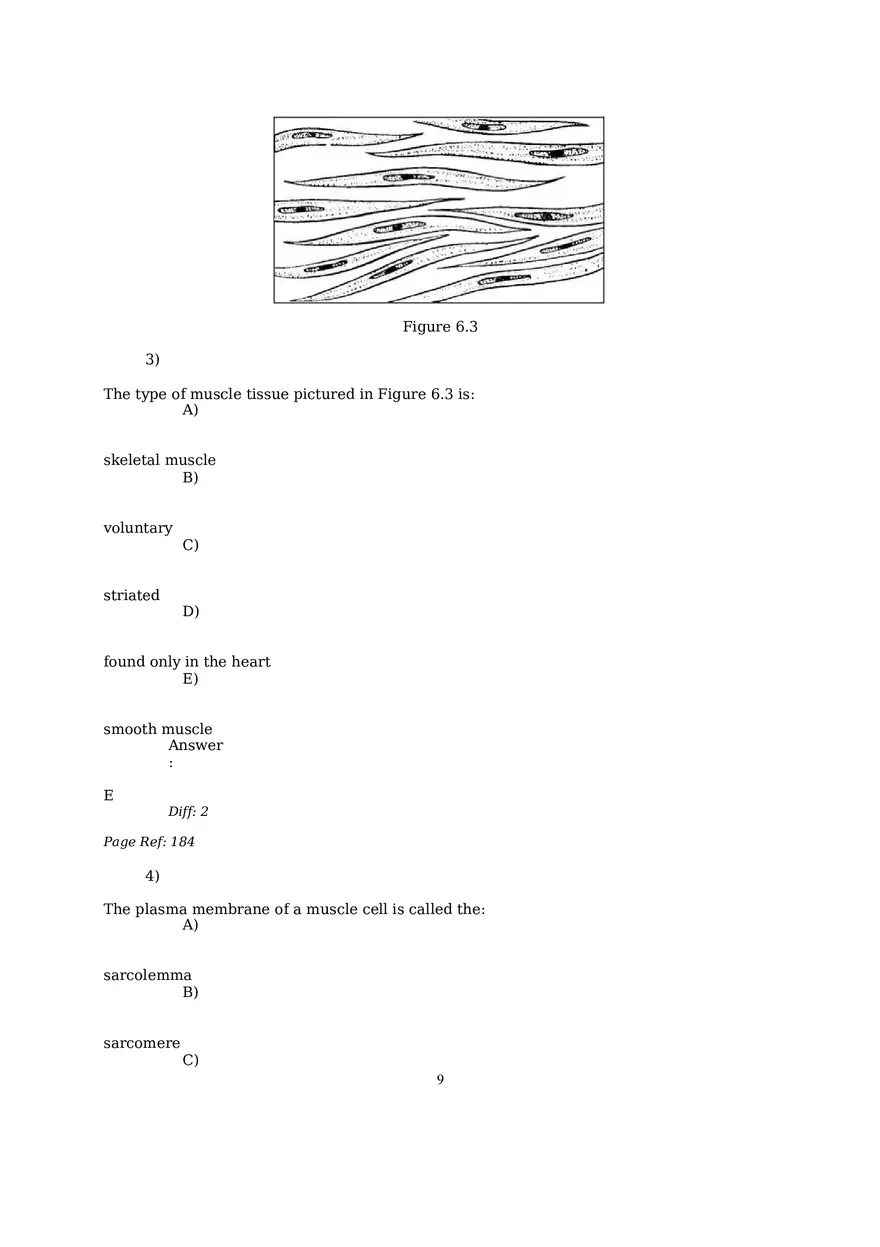 The Muscular System Questions and Answers (1-6) - Page 10