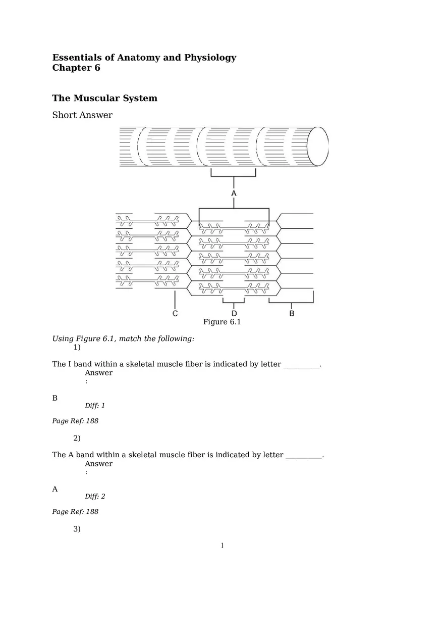 The Muscular System Questions and Answers (1-6) - Page 1