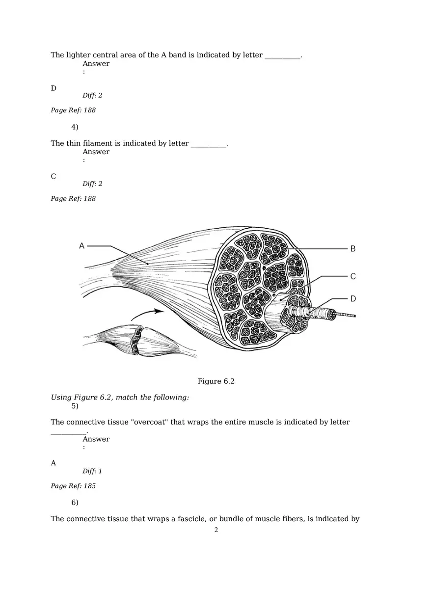 The Muscular System Questions and Answers (1-6) - Page 2