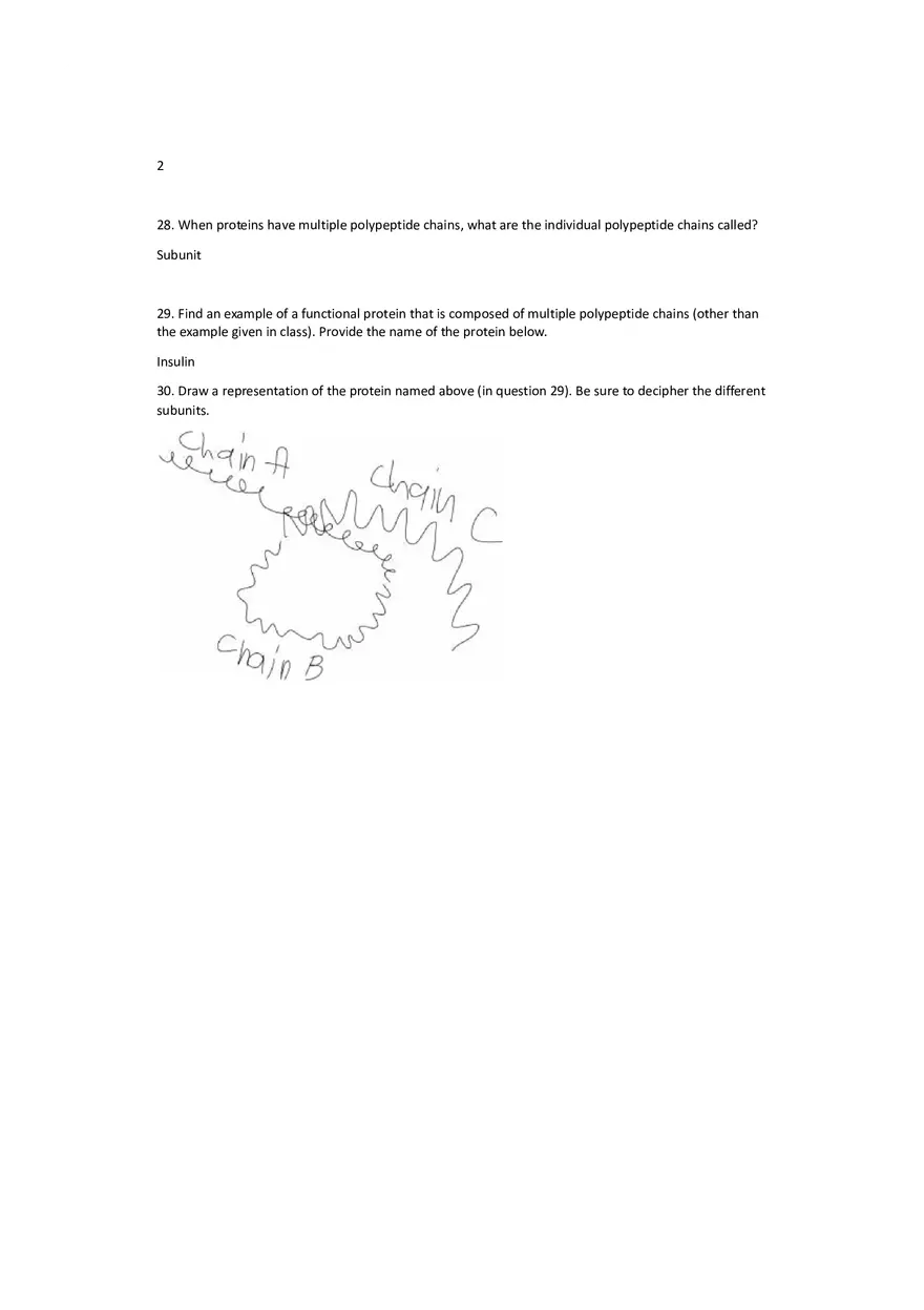 Worksheet 9 - Protein Structure - Page 7