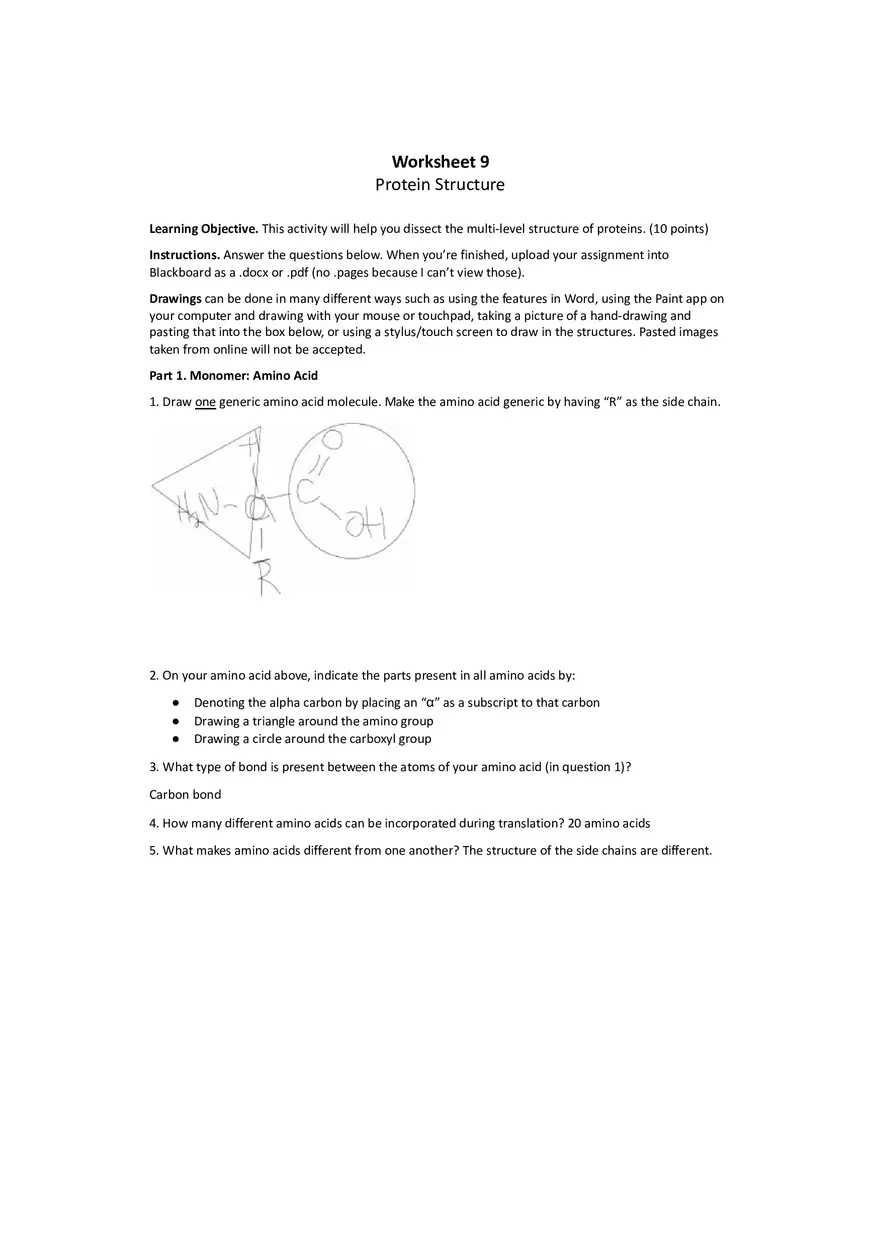 Worksheet 9 - Protein Structure - Page 1