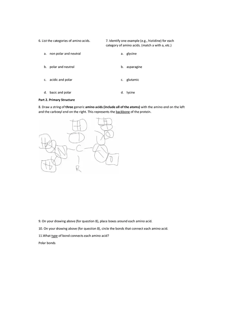 Worksheet 9 - Protein Structure - Page 2