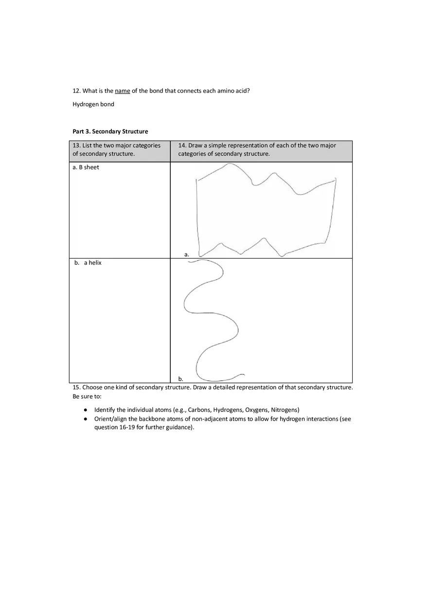 Worksheet 9 - Protein Structure - Page 3