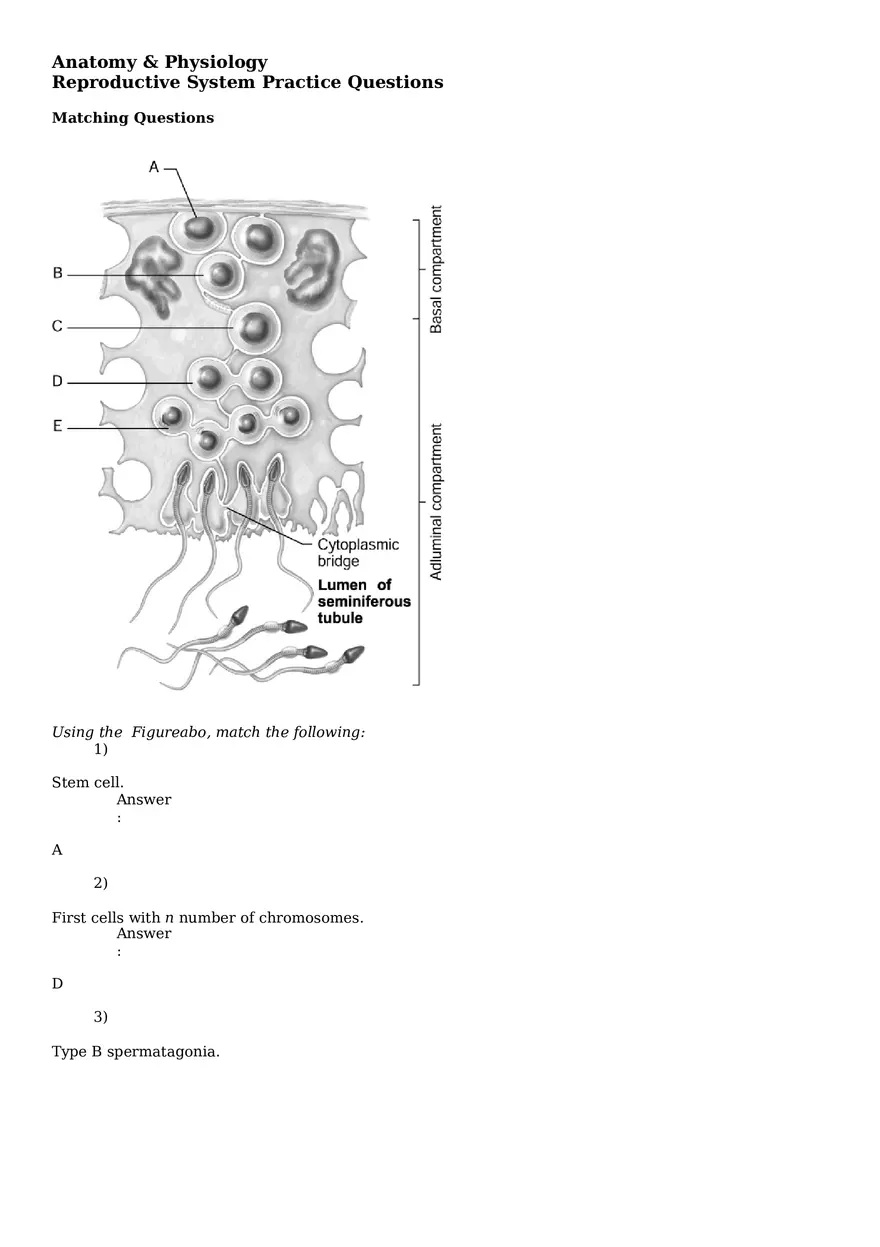 Reproductive System Practice Questions - Part 1 - Page 1