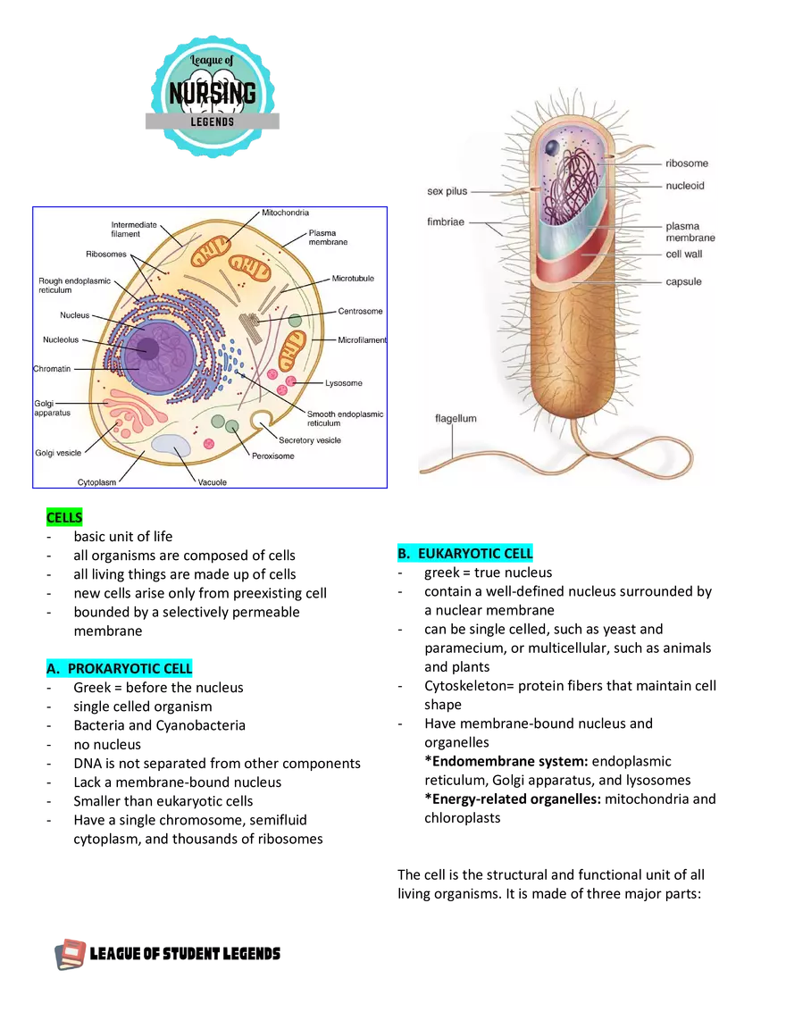 Anatomy and Physiology 1 - Page 9