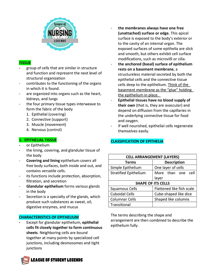 Anatomy and Physiology 1 - Page 25