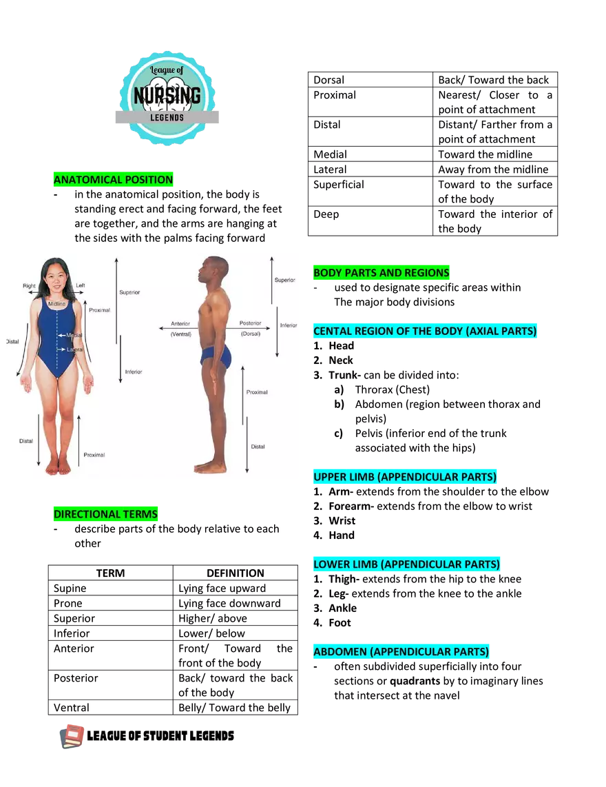 Anatomy and Physiology 1 - Page 35