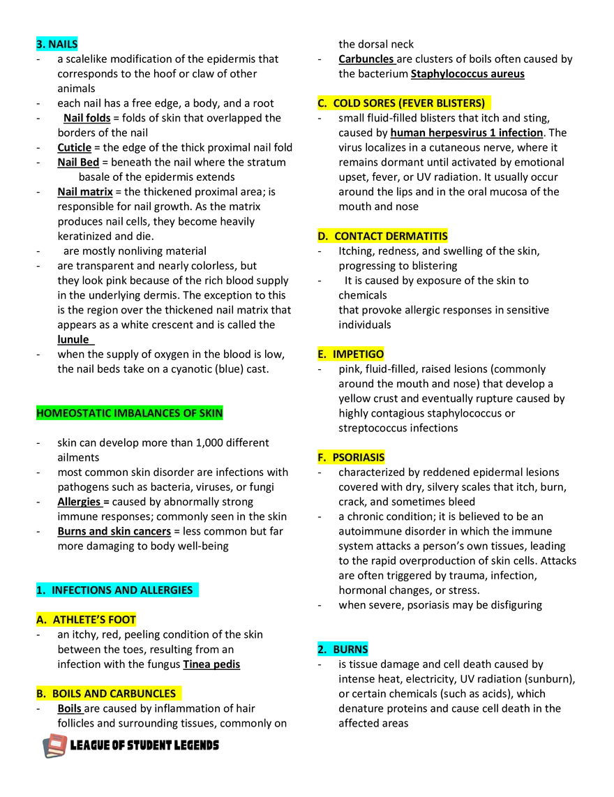 Anatomy and Physiology 1 - Page 39