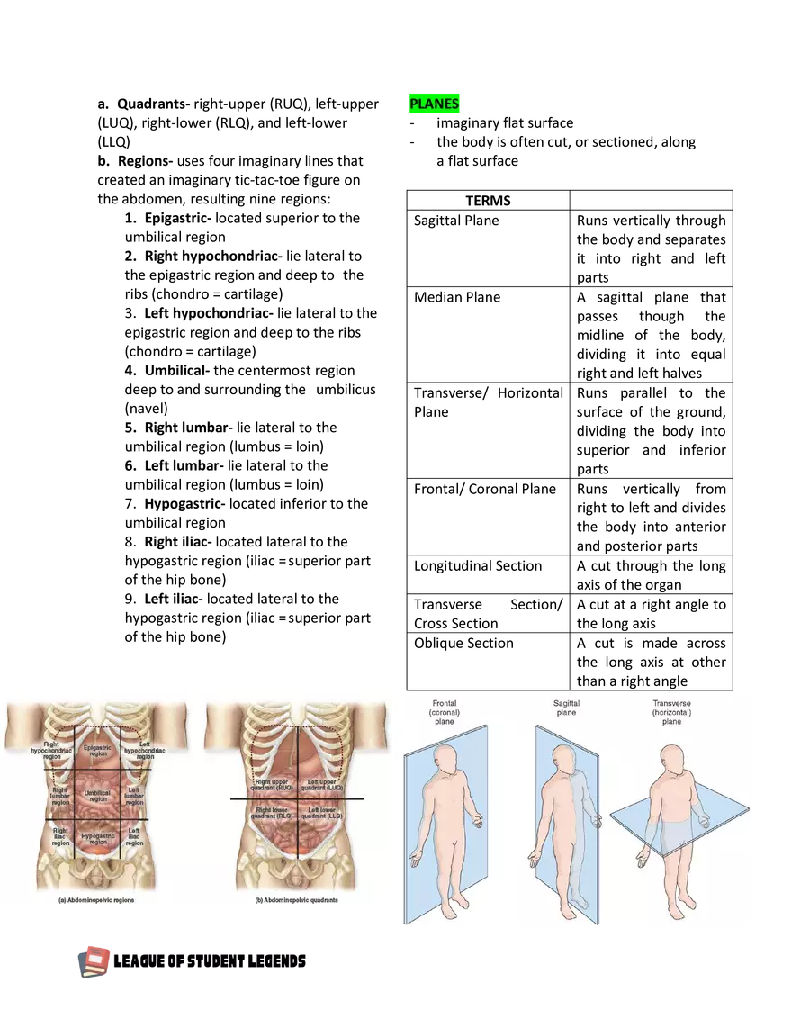 Anatomy and Physiology 1 - Page 46