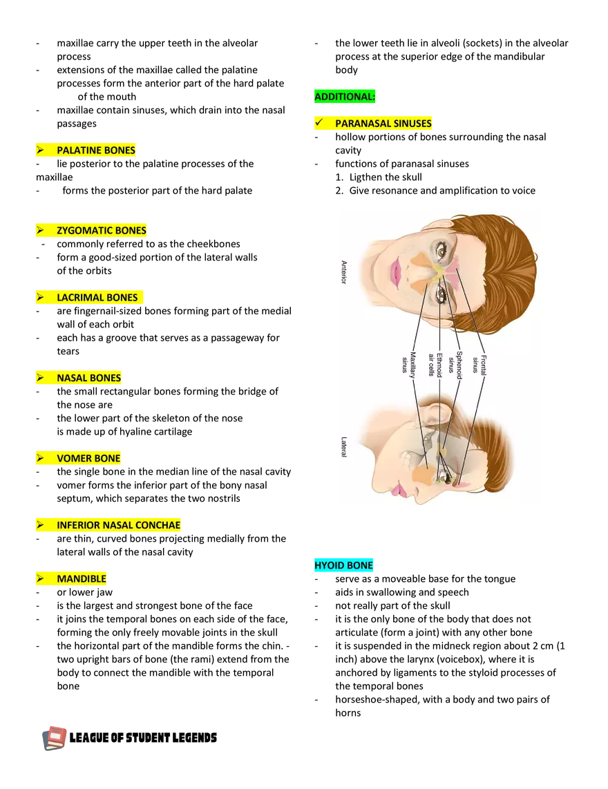 Anatomy and Physiology 1 - Page 52