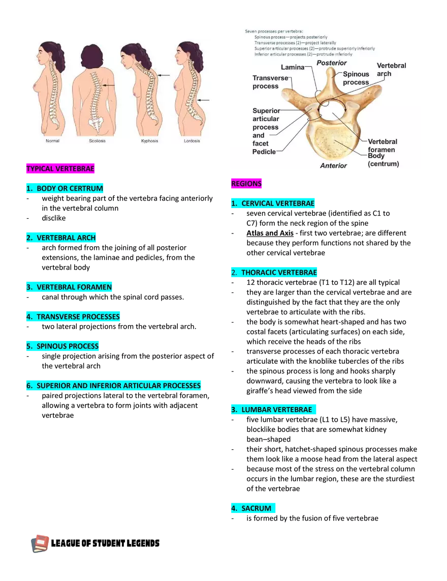 Anatomy and Physiology 1 - Page 55