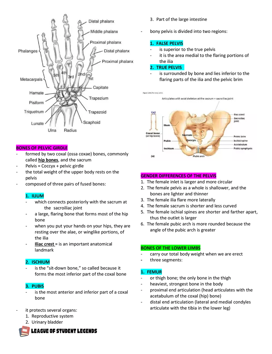 Anatomy and Physiology 1 - Page 59