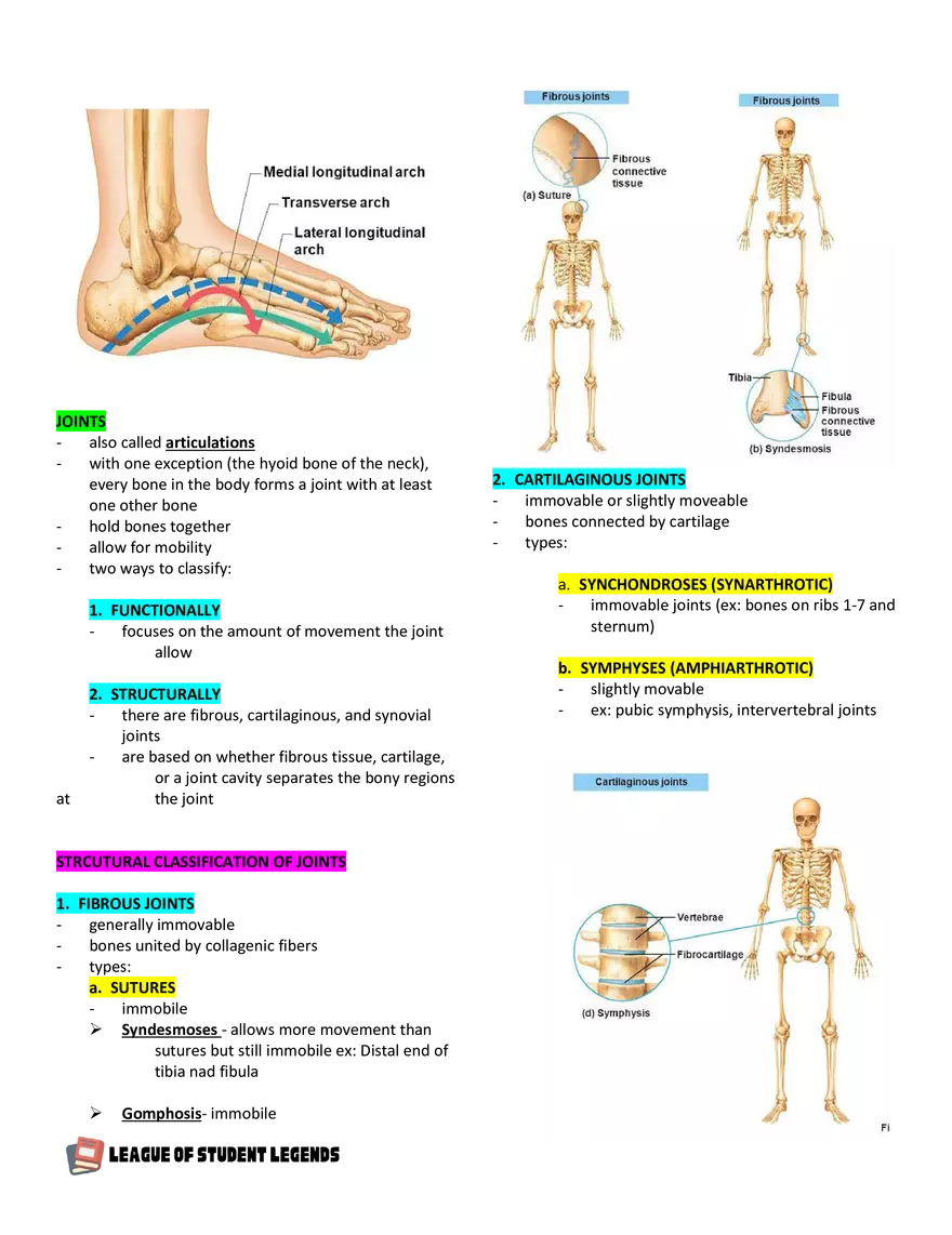 Anatomy and Physiology 1 - Page 61