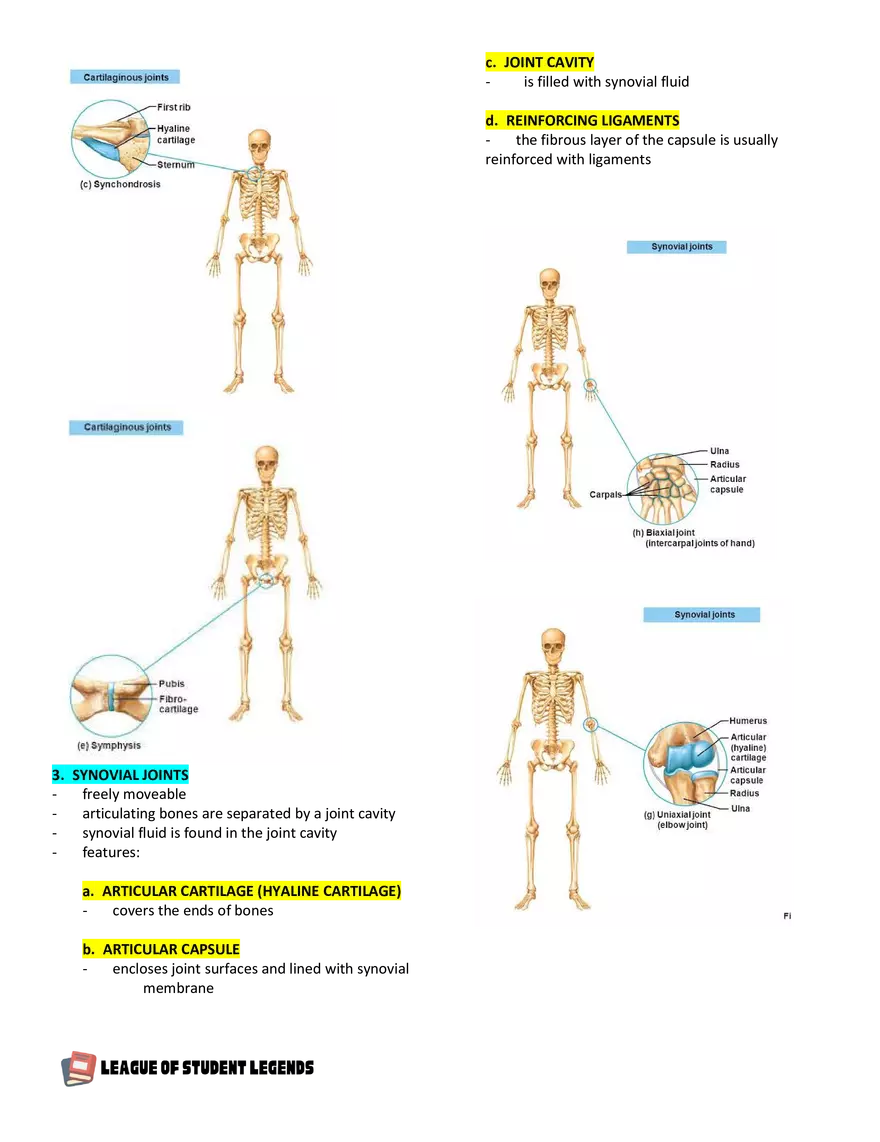 Anatomy and Physiology 1 - Page 62