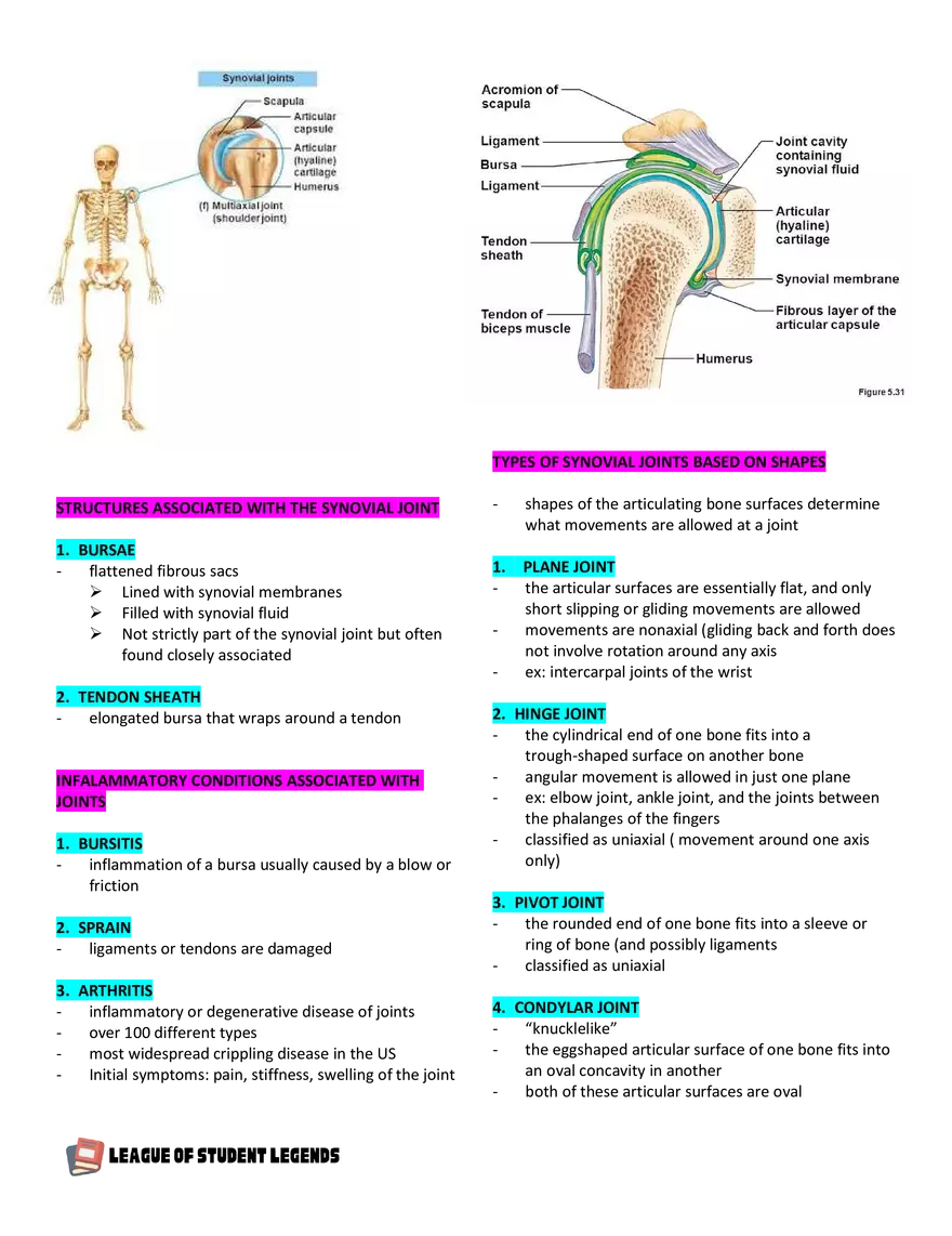 Anatomy and Physiology 1 - Page 63