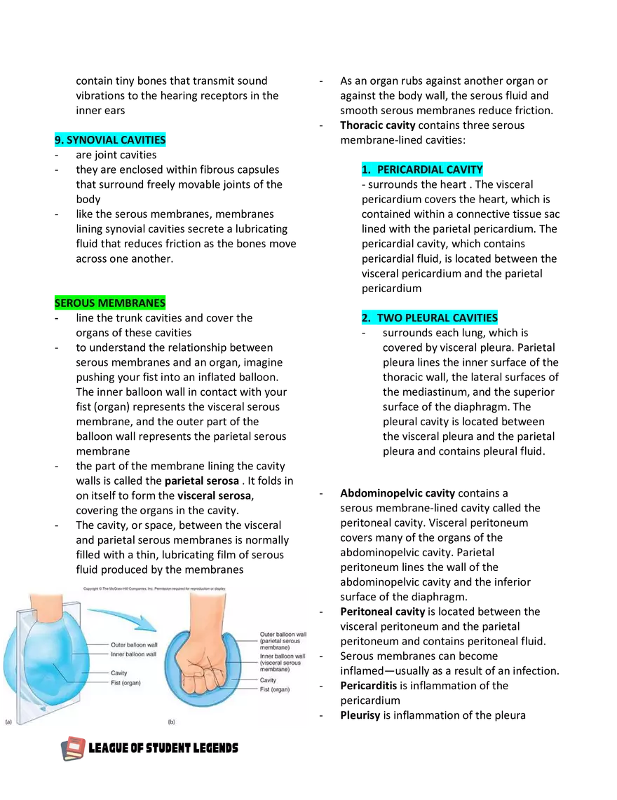 Anatomy and Physiology 1 - Page 68