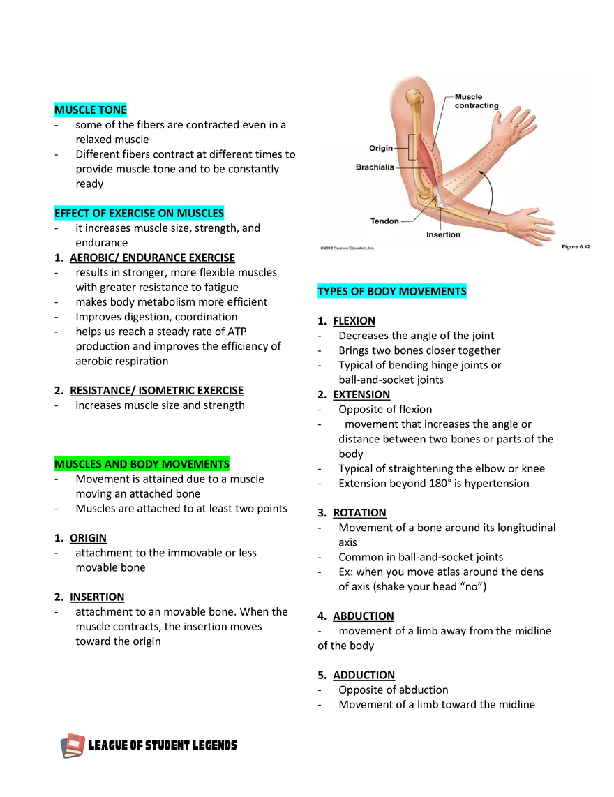 Anatomy and Physiology 1 - Page 70