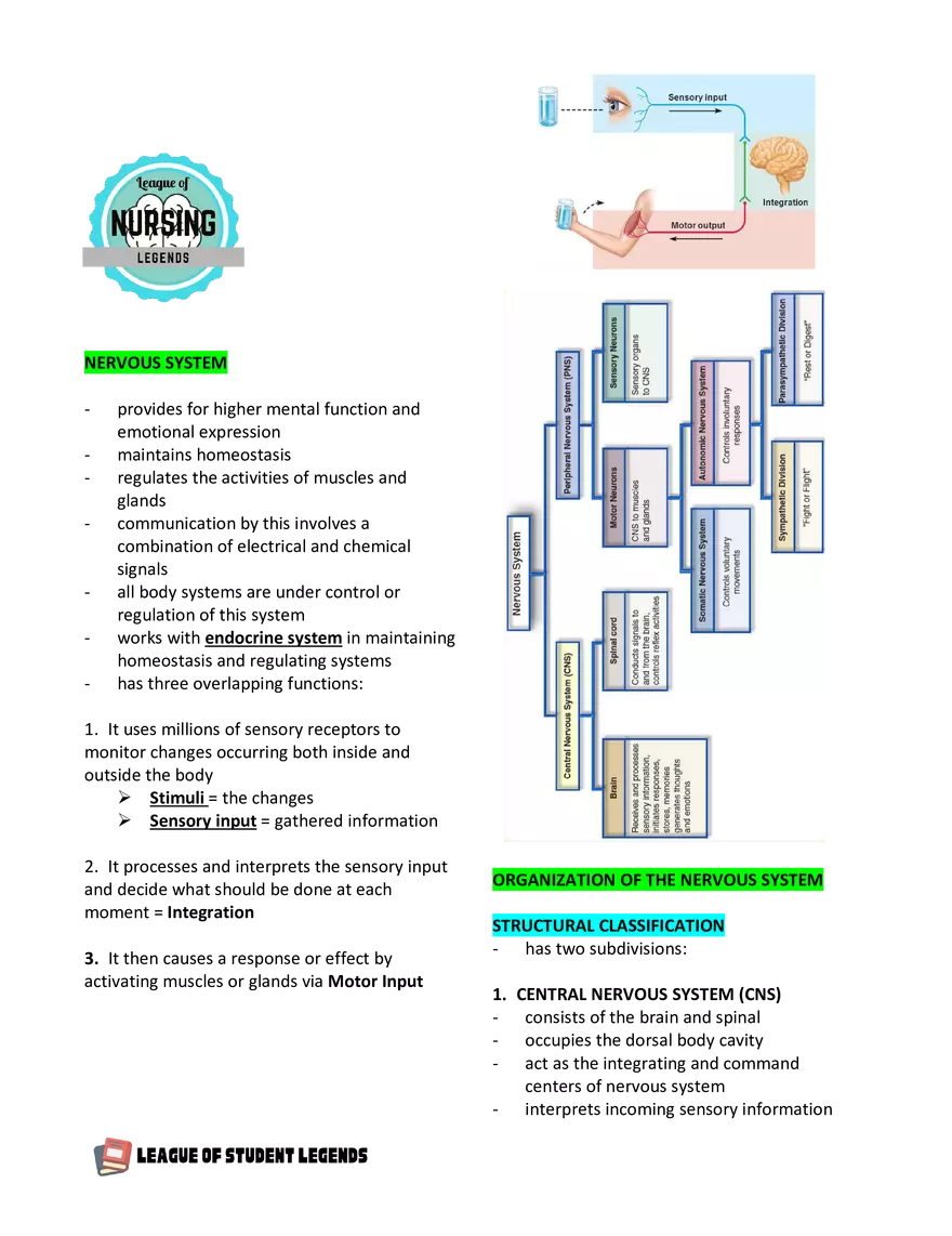 Anatomy and Physiology 1 - Page 80