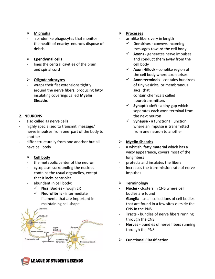 Anatomy and Physiology 1 - Page 82