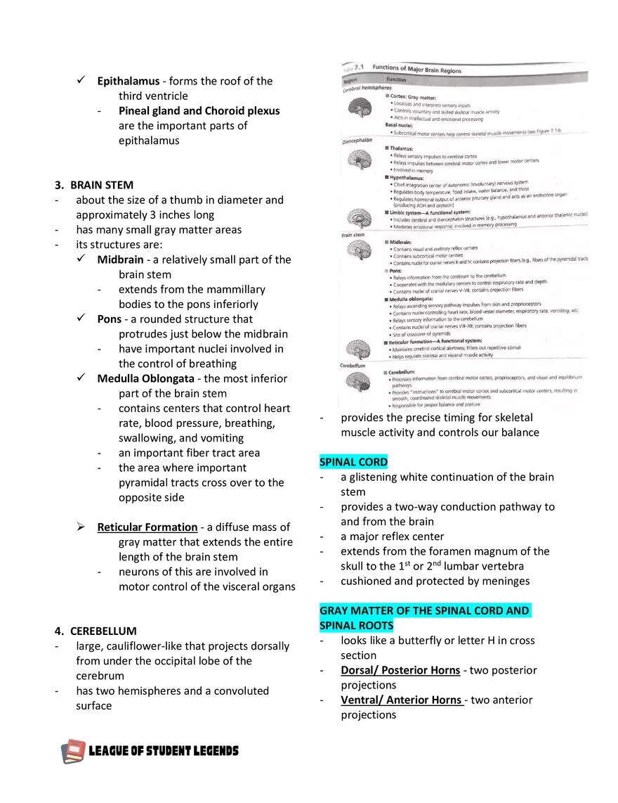 Anatomy and Physiology 1 - Page 84