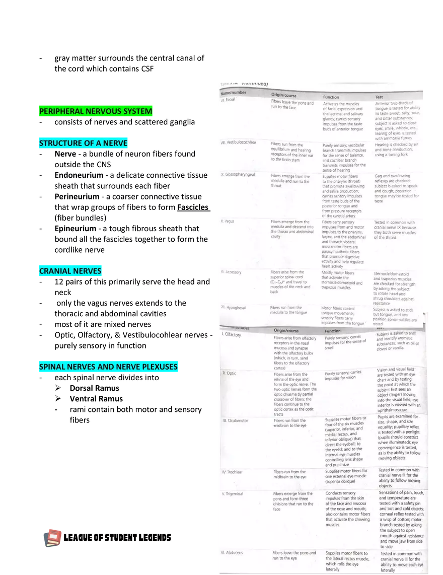 Anatomy and Physiology 1 - Page 85
