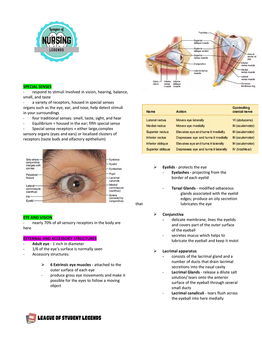 Anatomy and Physiology 1 - Page 87