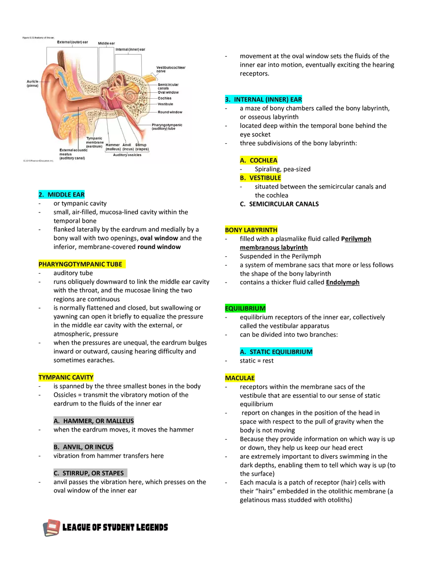 Anatomy and Physiology 1 - Page 91