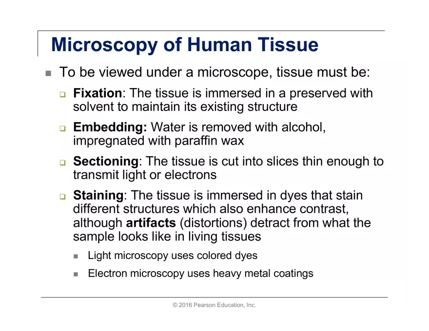 Exercise #6 Classification of Tissues - Epithelial Tissue - Page 35